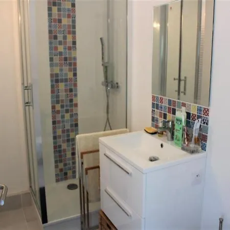 Appartement - Quartier Saint Elme, Avec Vue Sur Parc Boise Arcachon